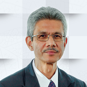YBhg. Datuk Ir. Ahmad Fauzi bin Hasan