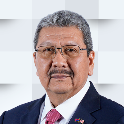 YBhg. Tan Sri Wan Ahmad Dahlan bin Haji Abdul Aziz