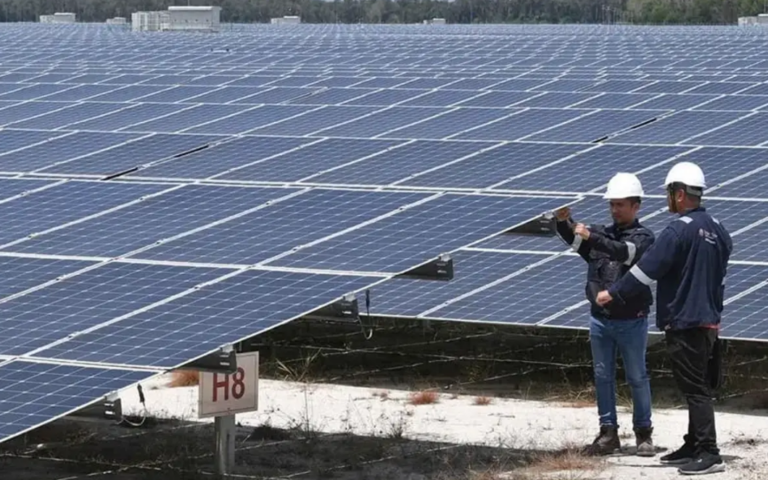 NEM scheme helps users generate green energy, save on bills